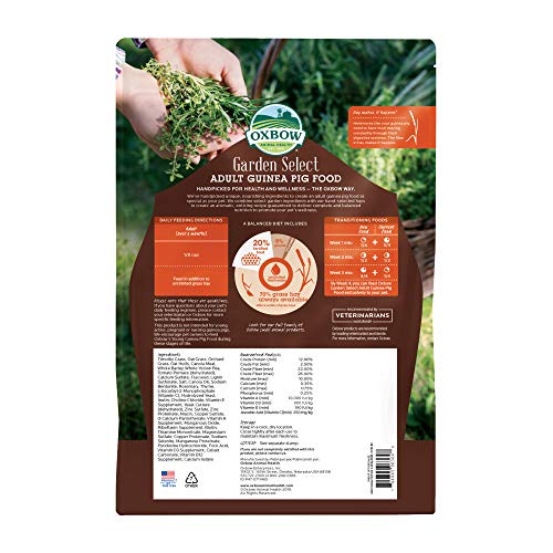 Oxbow Garden Select Heno Timothy para masticación saludable de la cobaya.