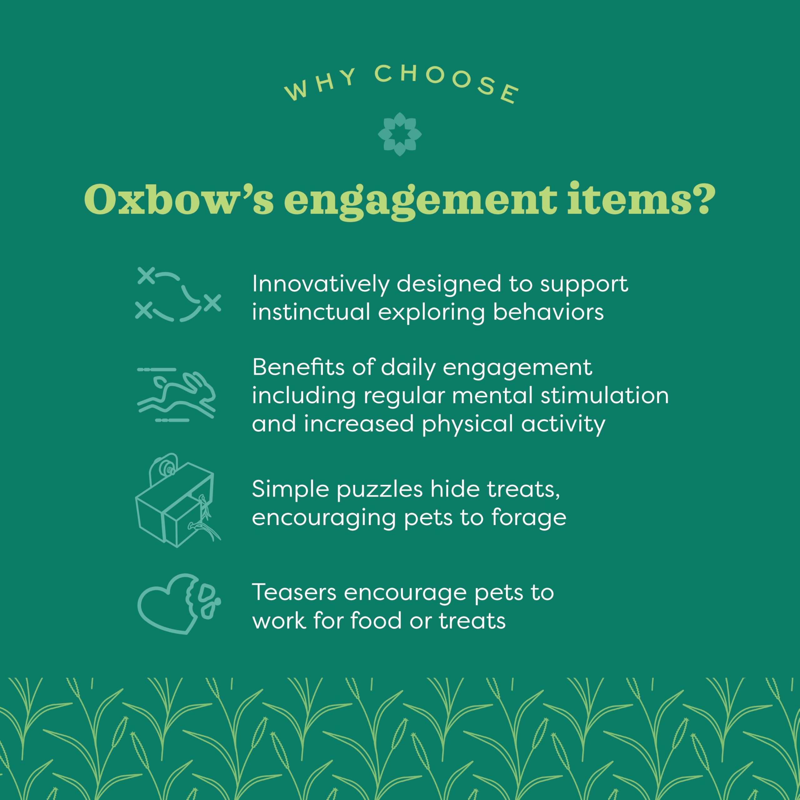 Oxbow Enriched Life Play Wall: versátil para jaula, hutches o playpen