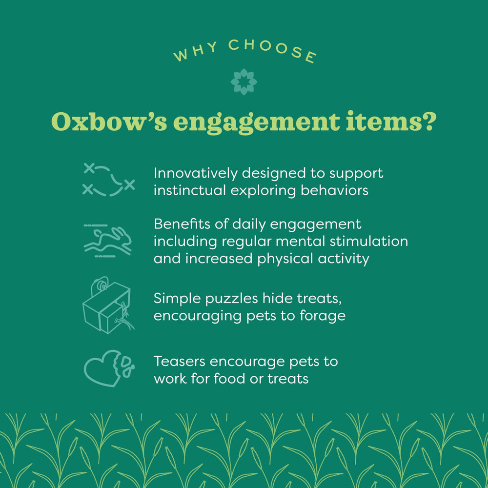 Oxbow Enriched Life Play Wall: versátil para jaula, hutches o playpen
