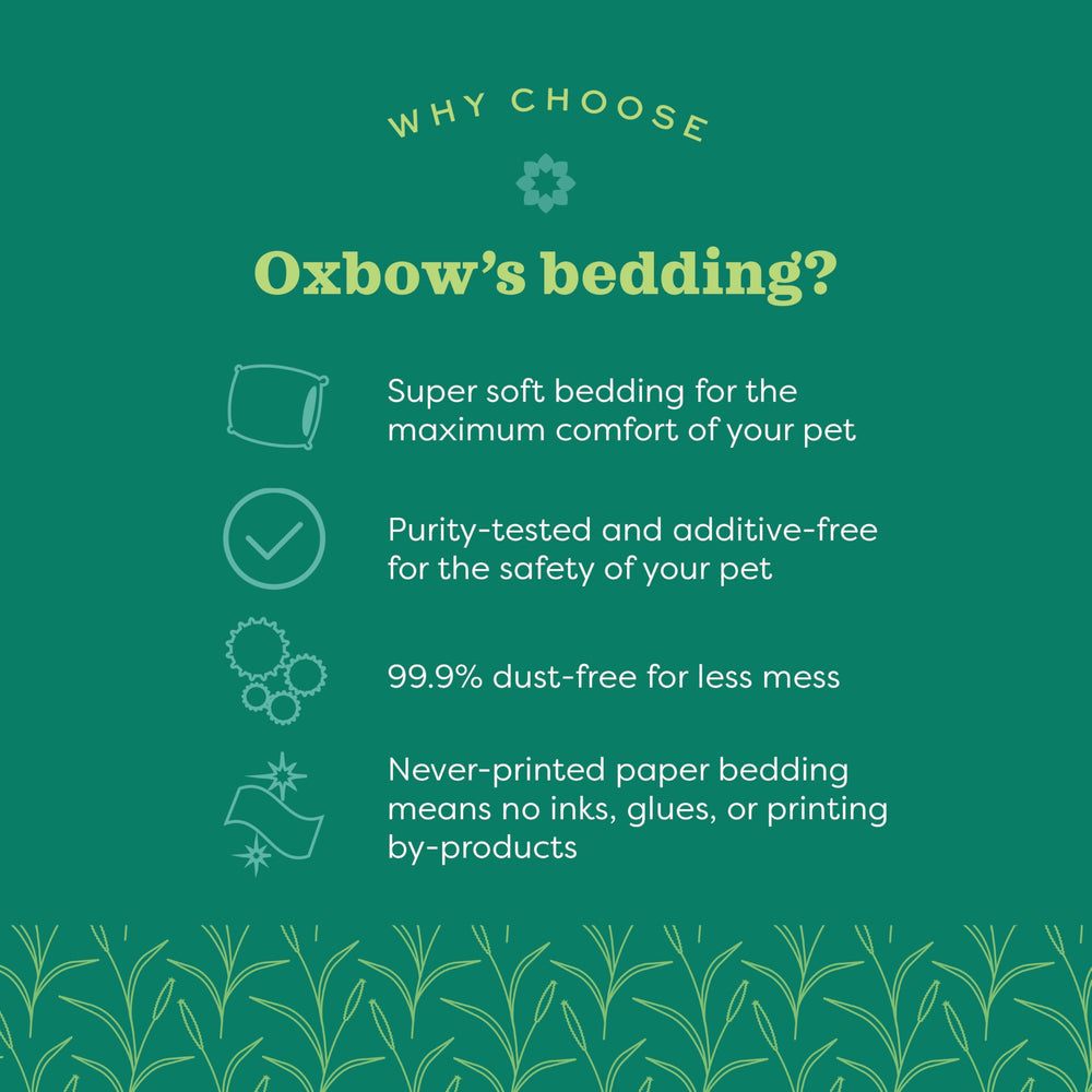 Oxbow Pure Comfort para cobaya en jaula, suelo suave y menos polvo