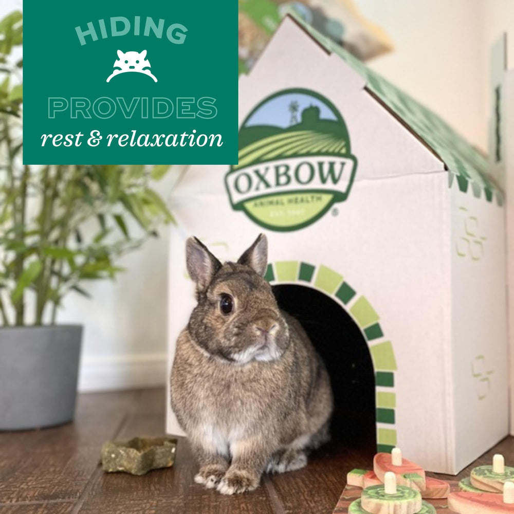 Oxbow Timothy Hay Bungalow, perfecto para uso en jaula de múltiples mascotas.