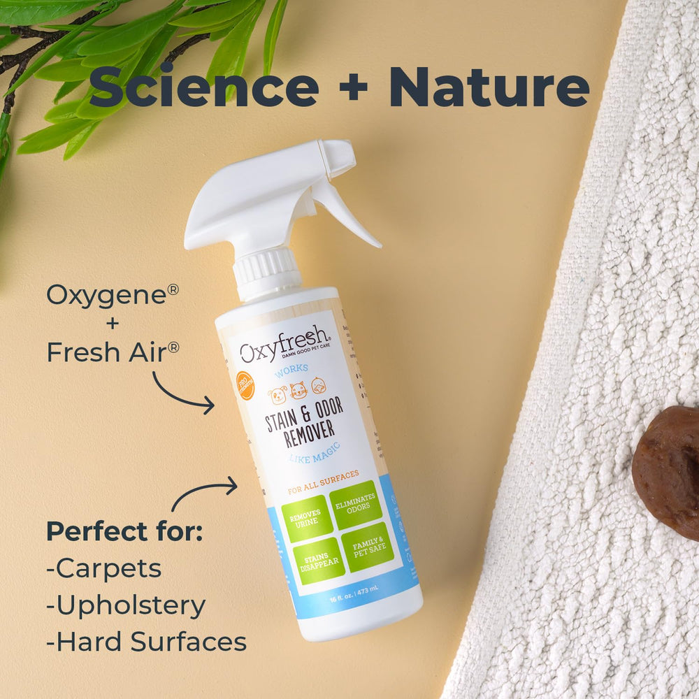 Oxyfresh acción rápida para olores de mascotas en tapicería.