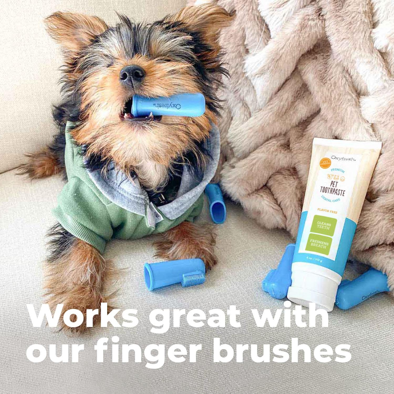 Oxyfresh para gatos y perros, cuidado dental práctico.
