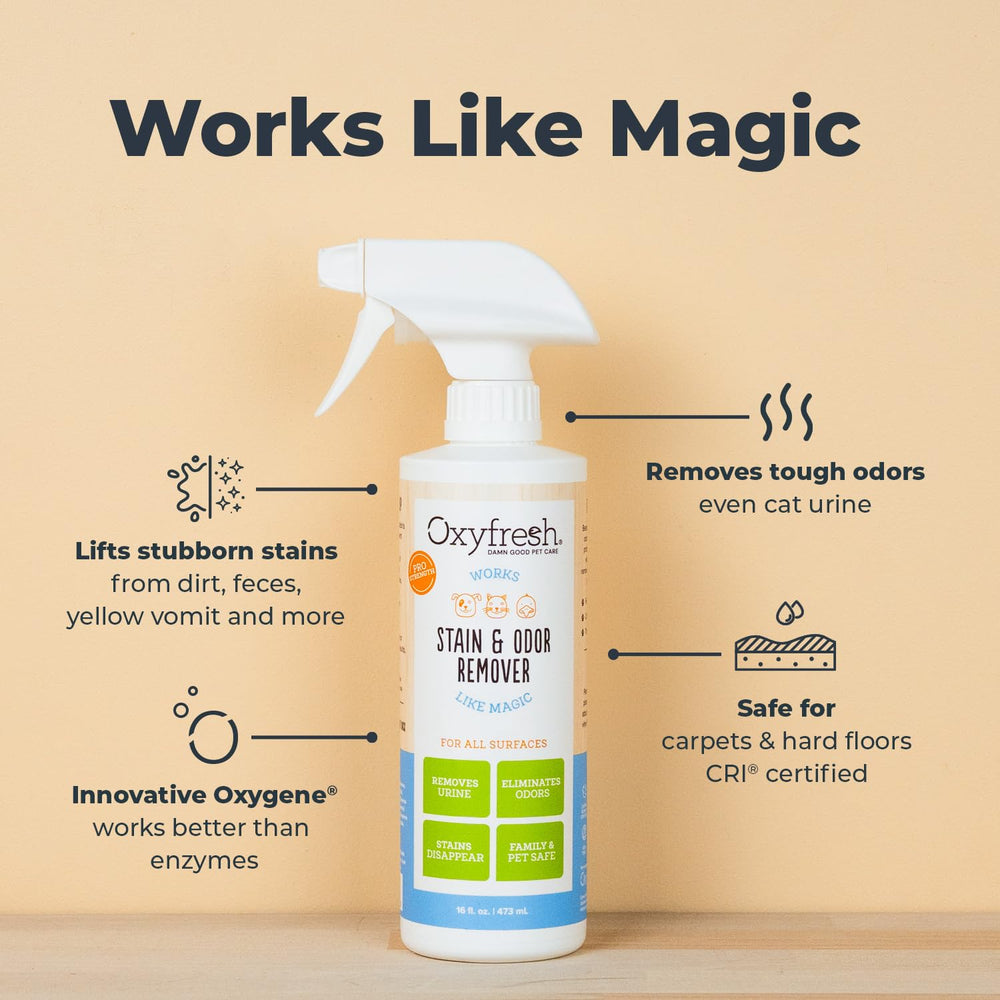 Oxyfresh spray limpiador para alfombras, uso diario y seguro.