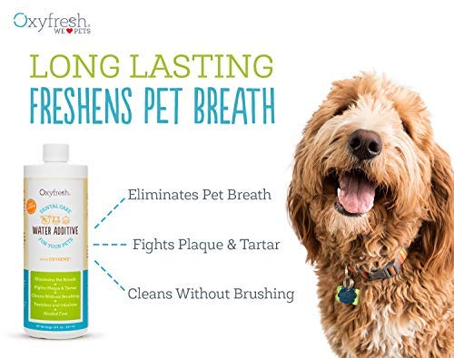 Oxyfresh aliento fresco para mascotas al usar el agua diaria.