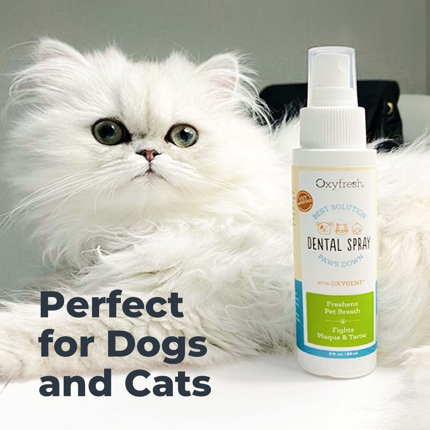 Oxyfresh aliento fresco para mascotas tras la aplicación