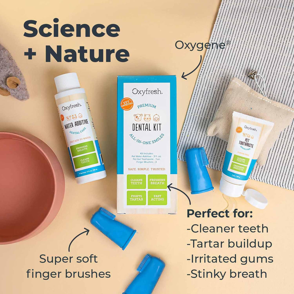 Kit dental completo Oxyfresh para cuidado en casa.