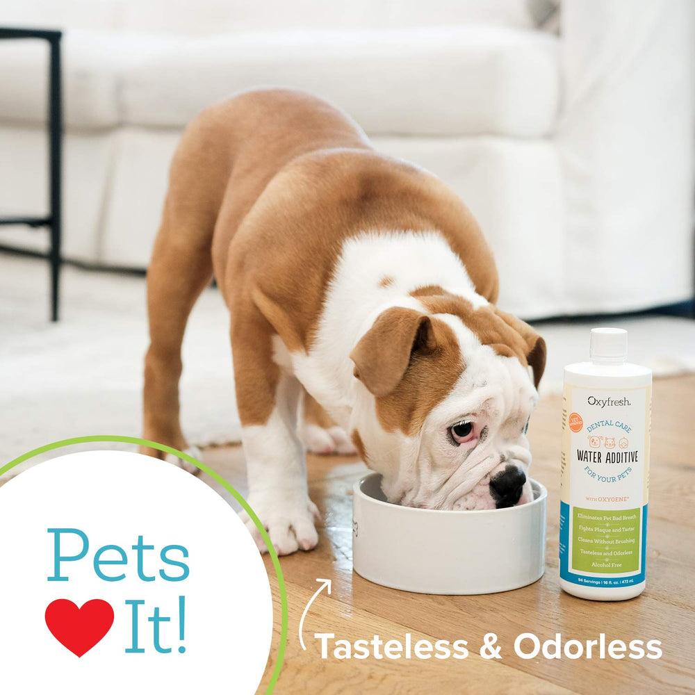 Oxyfresh producido en EE. UU. con ingredientes de alta calidad para mascotas.