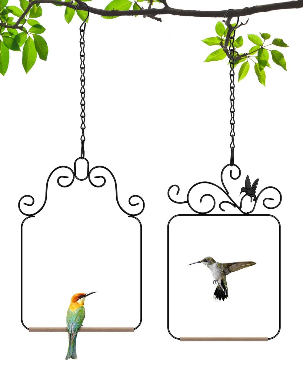PACETAP columpios para colibríes, frente, ideal para realzar el jardín