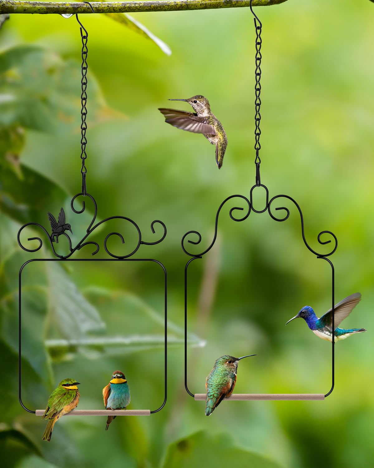 PACETAP columpios, entorno jardín, fácil instalación y observación de aves