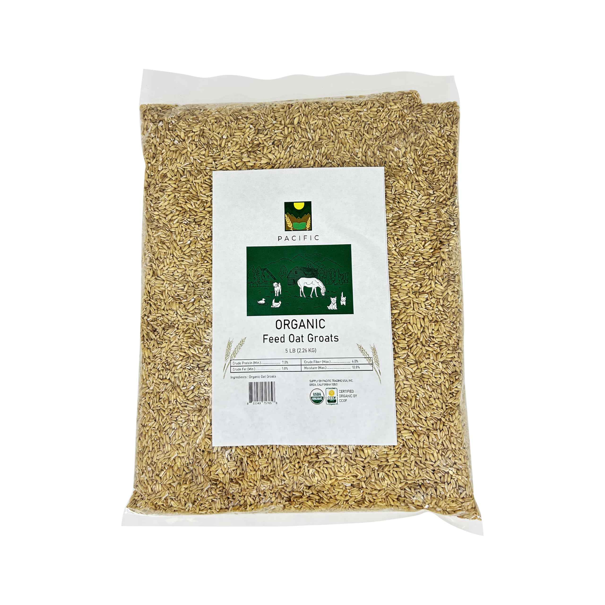 PACIFIC avena en grano orgánica para aves en tazón, fuente de fibra natural