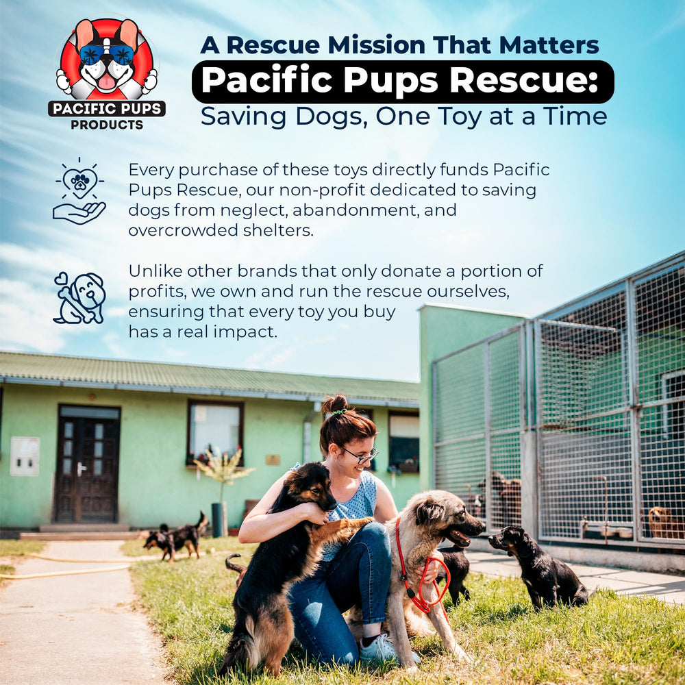 Pacific Pups apoya rescate de perros en Los Ángeles con cada compra
