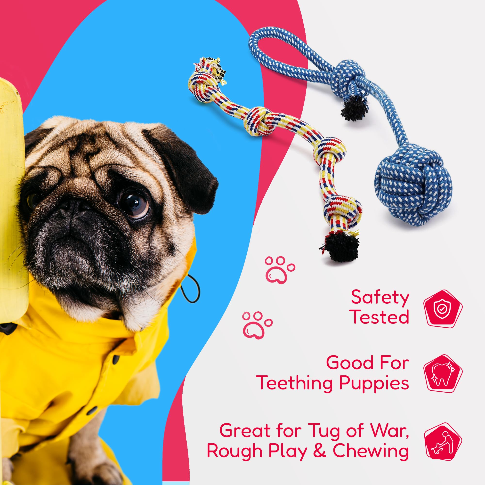 Pacific Pups Juguete de cuerda dental zanahoria, promueve la masticación y diversión