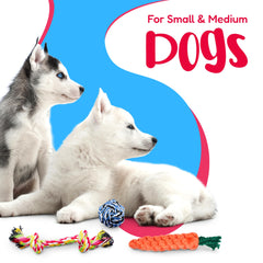 Pacific Pups cuerda para perro mediano, diseño resistente para juego activo