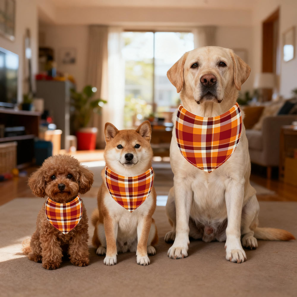 Pack Pai Sence de 60 bandanas a cuadros para toda la familia
