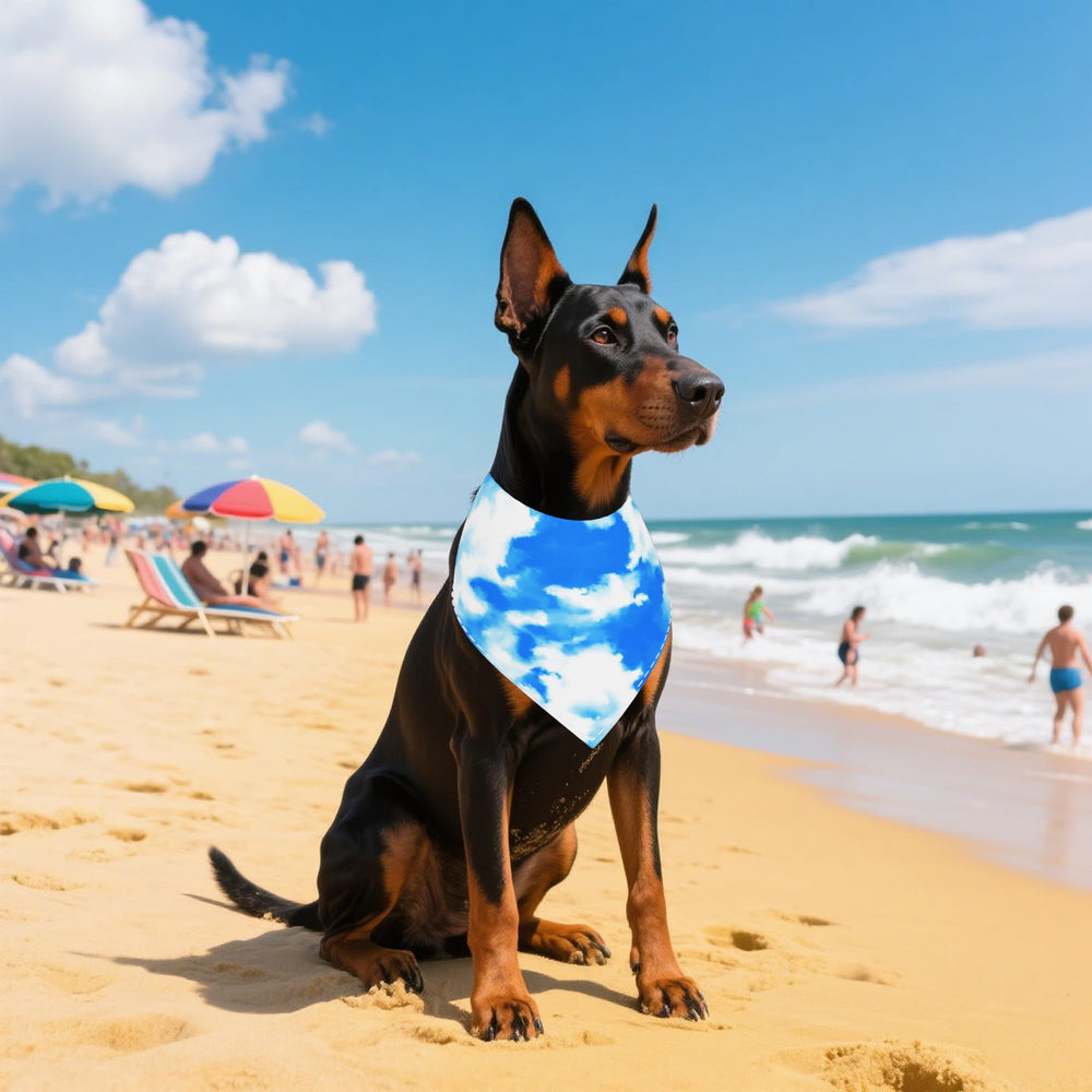 Impresión duradera no se desvanece fácilmente, Pai Sence Bandana.