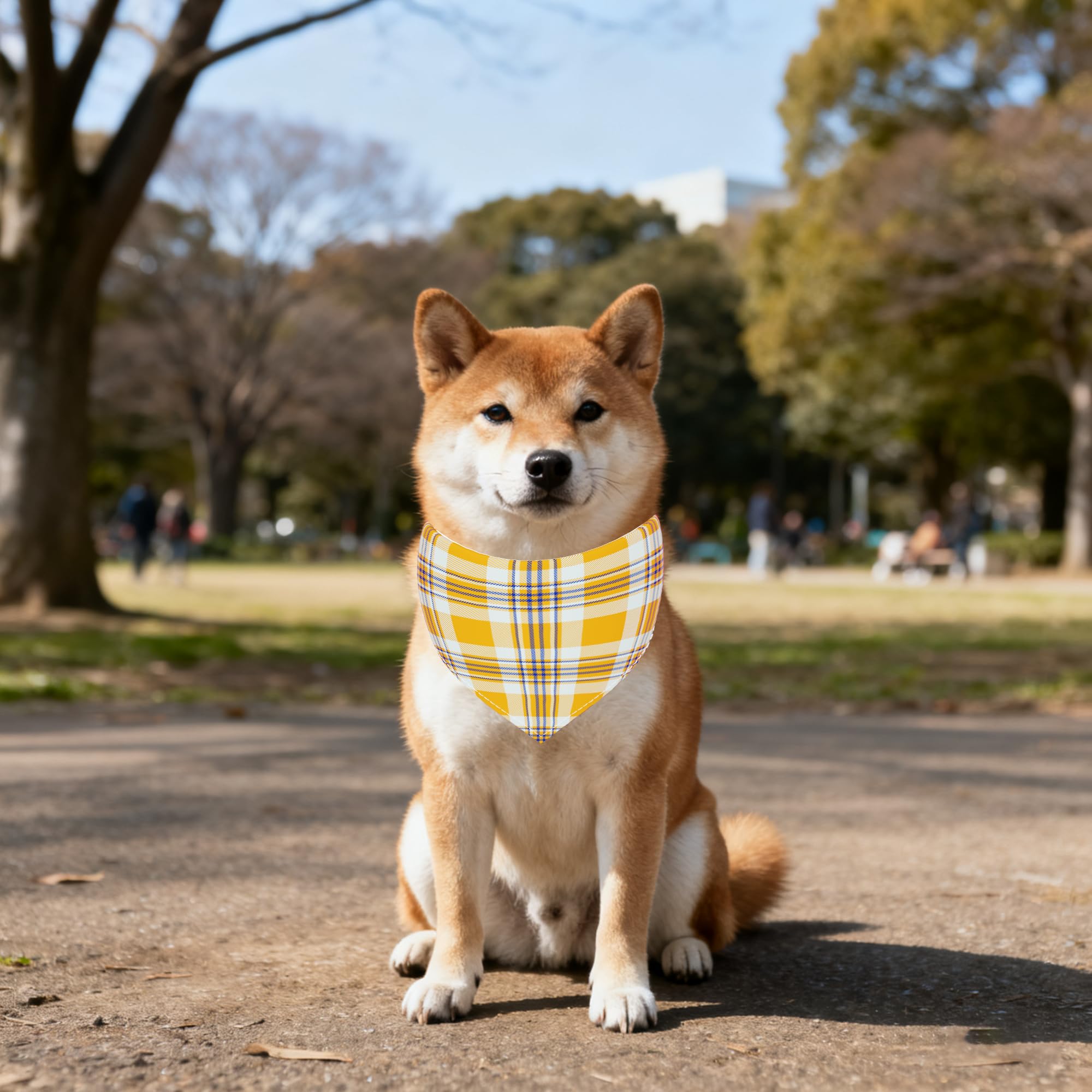 Uso diario y fiestas con Pai Sence, accesorio decorativo para mascotas