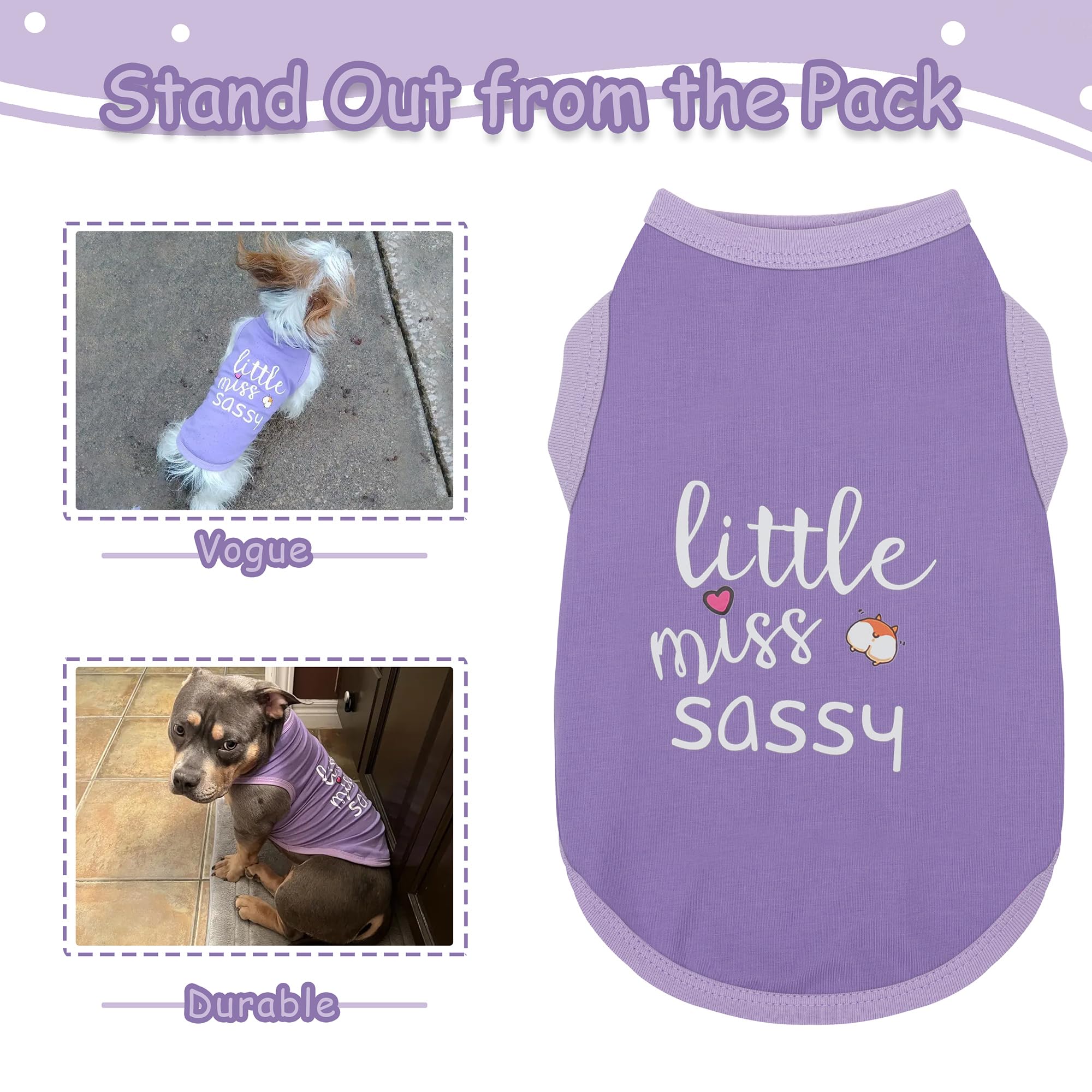 Paiaite Camisa para Perro lavado fácil, cuidado sencillo.
