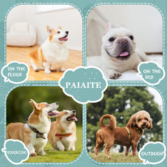 Paiaite Camiseta para perro pequeño, versátil para todas las estaciones.