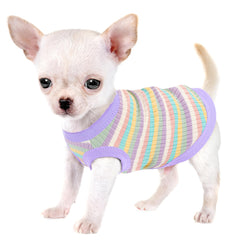 Paiaite camiseta de algodón para perro, ideal para paseos diarios.