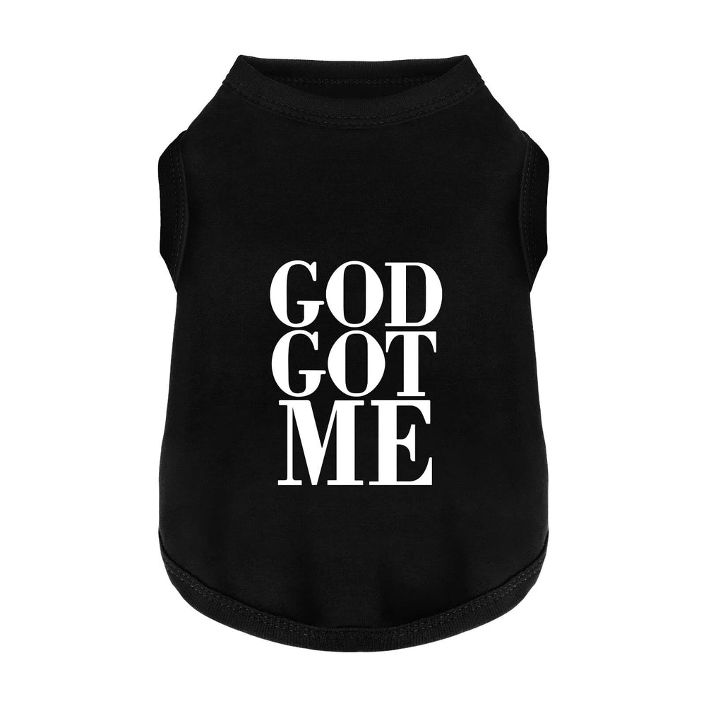 Paiaite camiseta para perro con impresión motivadora para paseos cómodos