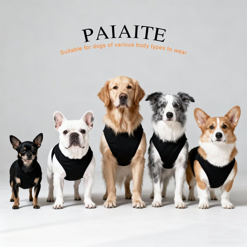 Camiseta canina Paiaite, corazones y amor, ajuste cómodo para varias razas.