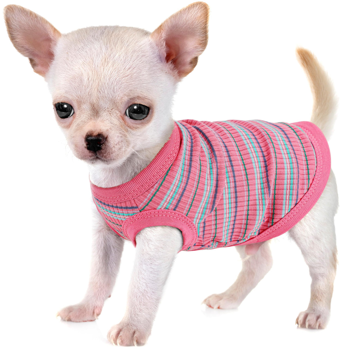 Camiseta Paiaite para perro, algodón rosa sin mangas, ajuste cómodo.