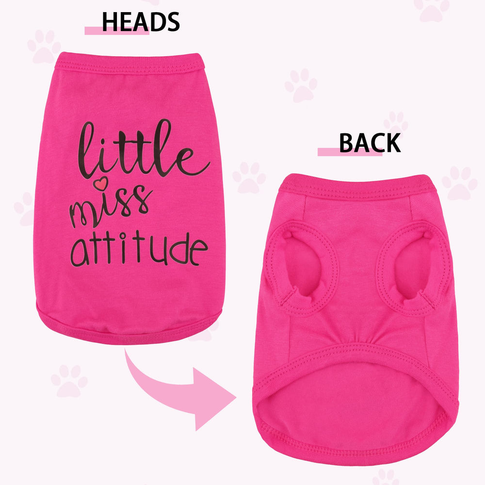 Paiaite camiseta para perros en exterior, ideal para paseos al aire libre.