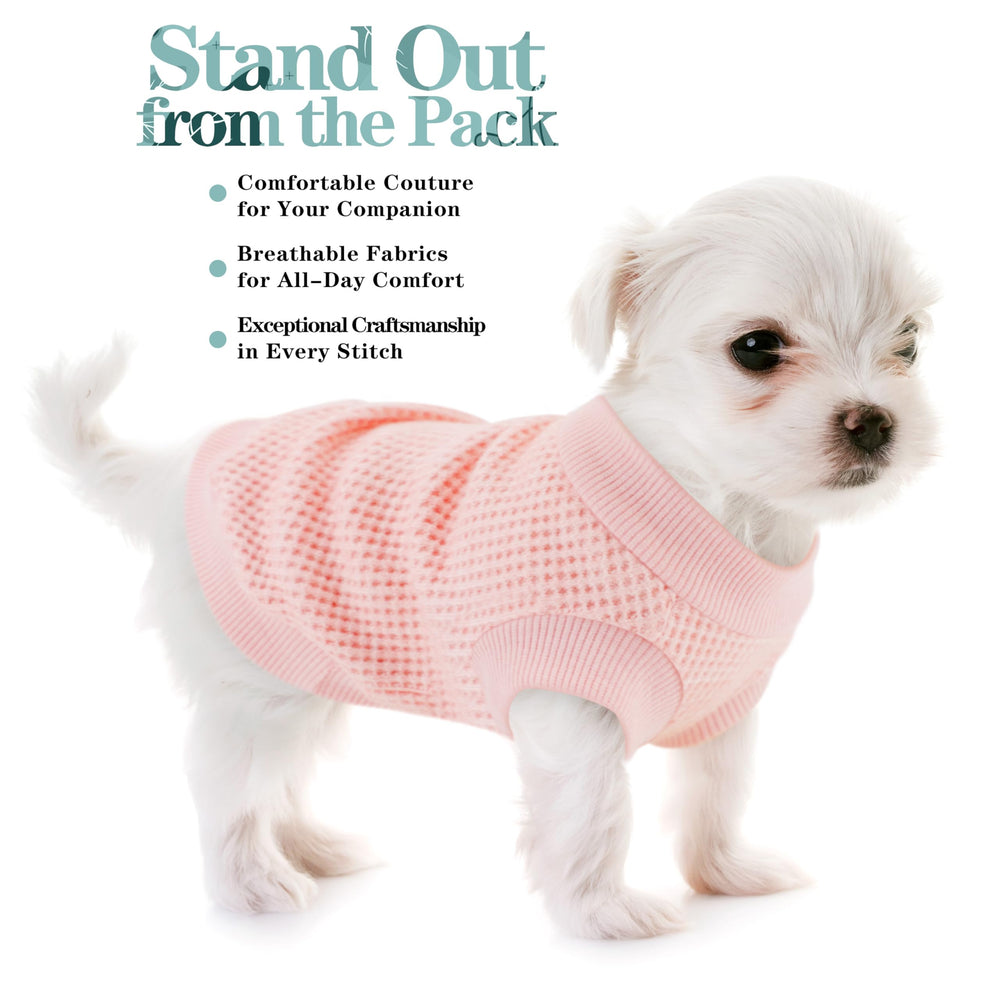 Paiaite camiseta para perro pequeño, uso durante todo el año, frío o cálido según necesidad.