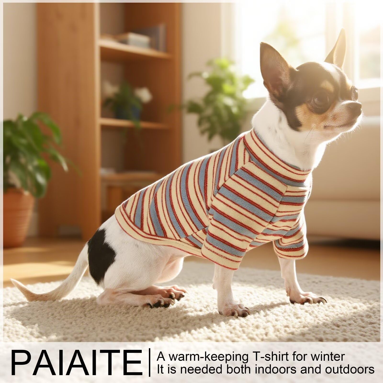 Paiaite camiseta para perro, ideal para combinar con collar o accesorios.