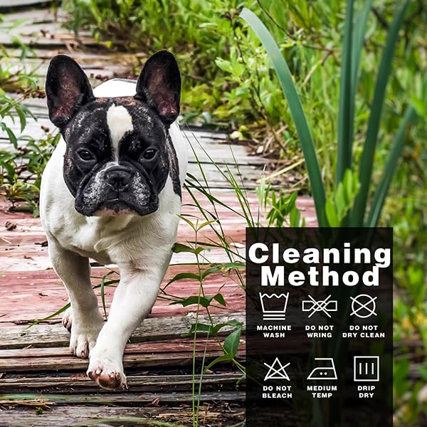 Paiaite camiseta duradera para razas pequeñas y medianas, ideal para paseos.
