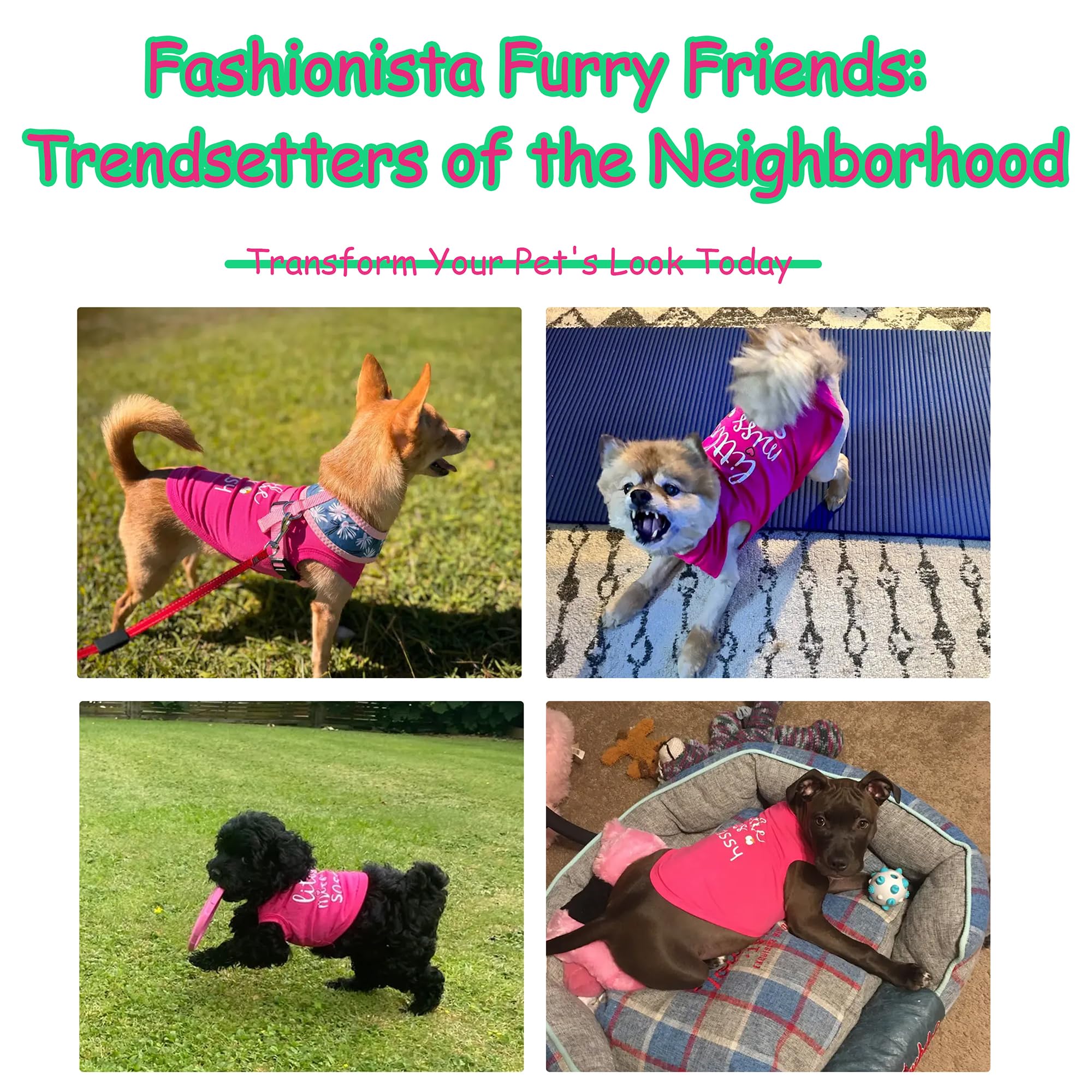 Paiaite chaleco perro Little Miss Sassy, lavado suave a máquina
