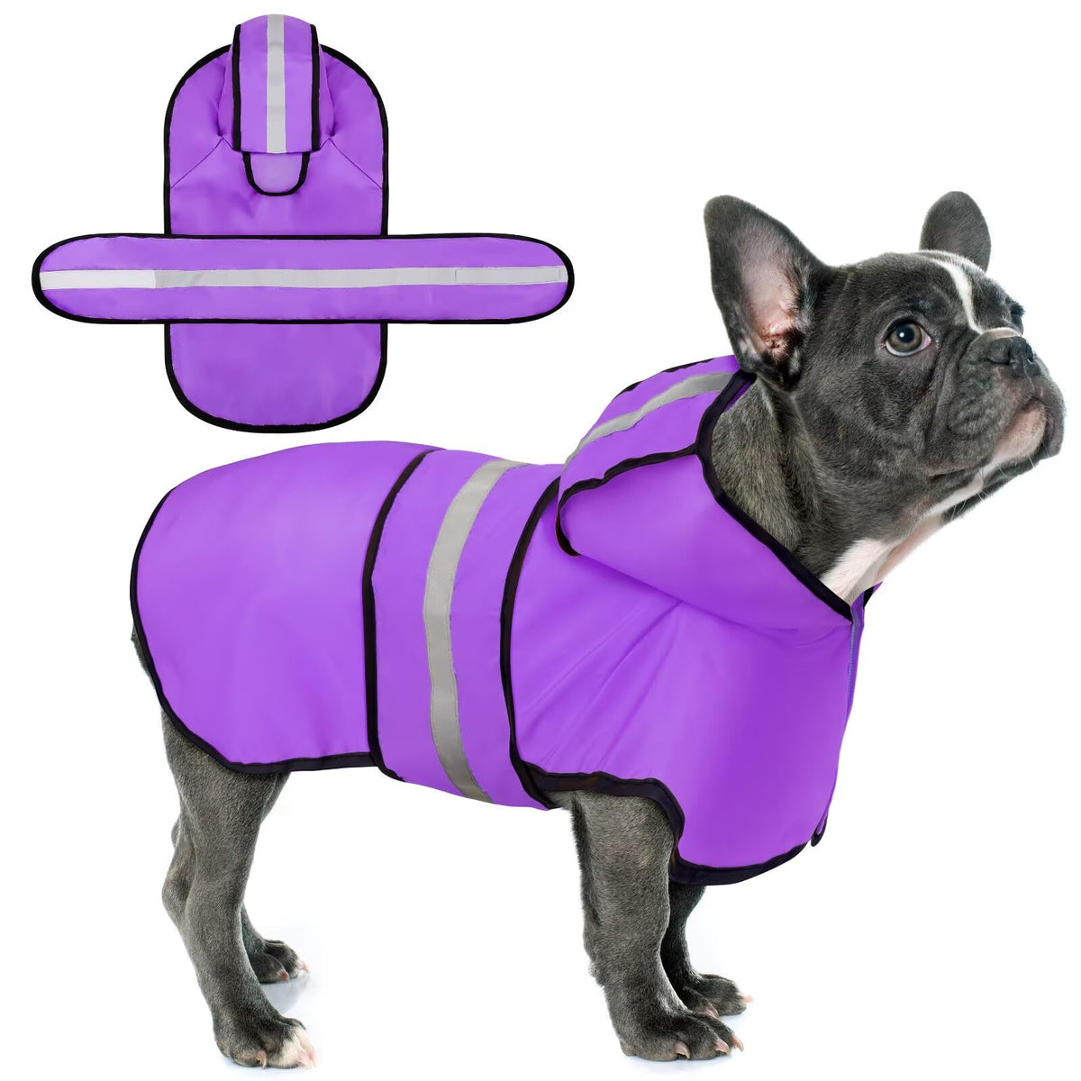 Chaqueta impermeable Paiaite para perros con capucha morada protege contra la lluvia.