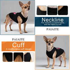 Perro con camiseta Paiaite en paseo, look cómodo y moderno