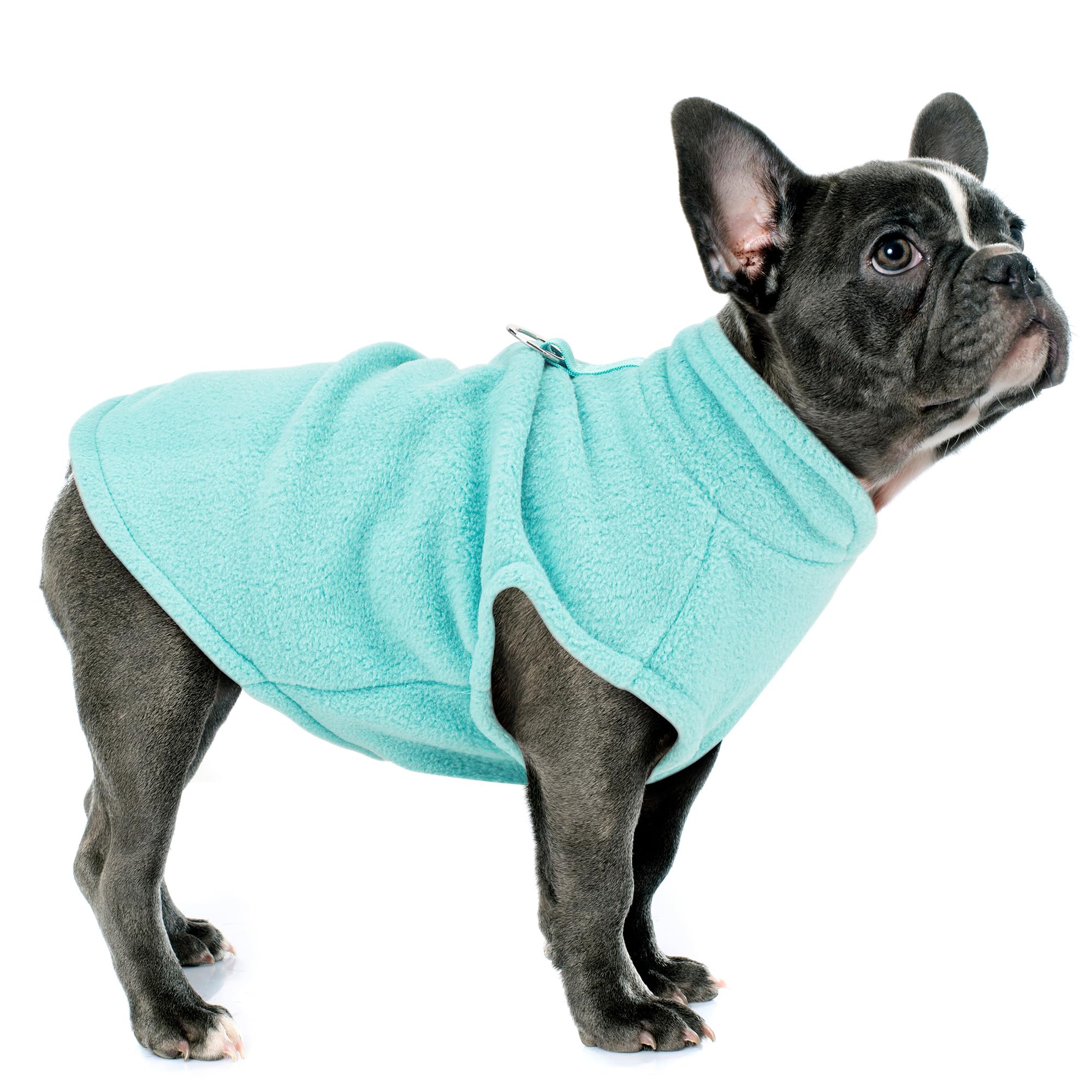 Paiaite suéter para perro pequeño sin mangas, turquesa, cómodo para paseos diarios.