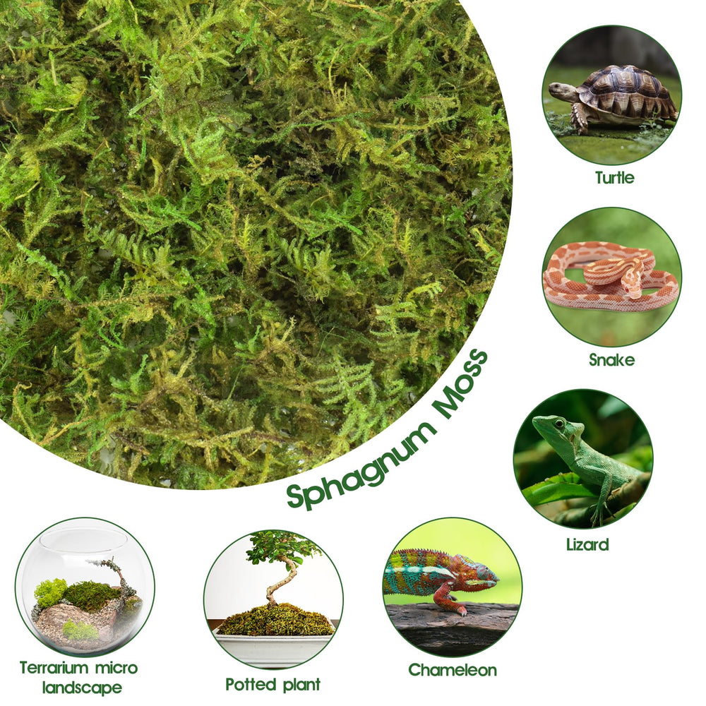 Pakimi musgo sphagnum para jardines y plantas, mejora el sustrato.
