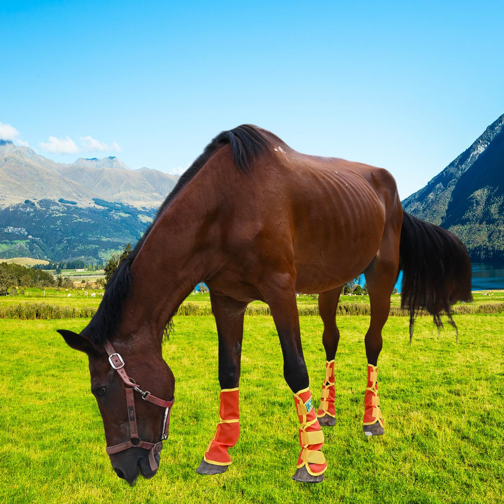 Paloura botas caballo malla duradera tras lavados para uso diario.