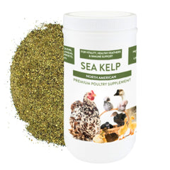 Pampered Chicken Mama alga marina gallinas 1 libra: nutrición práctica para plumas sanas