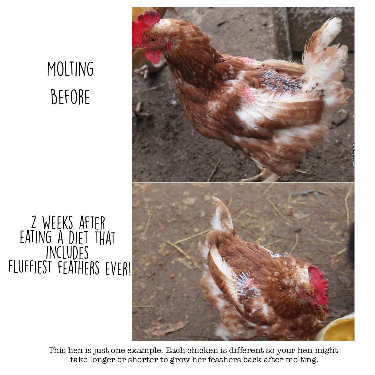 Pampered Chicken Mama envase con etiqueta, fácil de identificar para la alimentación diaria.