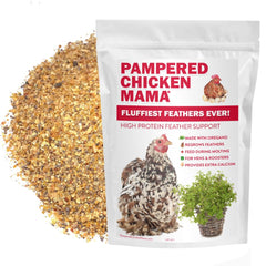Pampered Chicken Mama molting supplement granulado en tazón, apoyo proteico para plumaje.