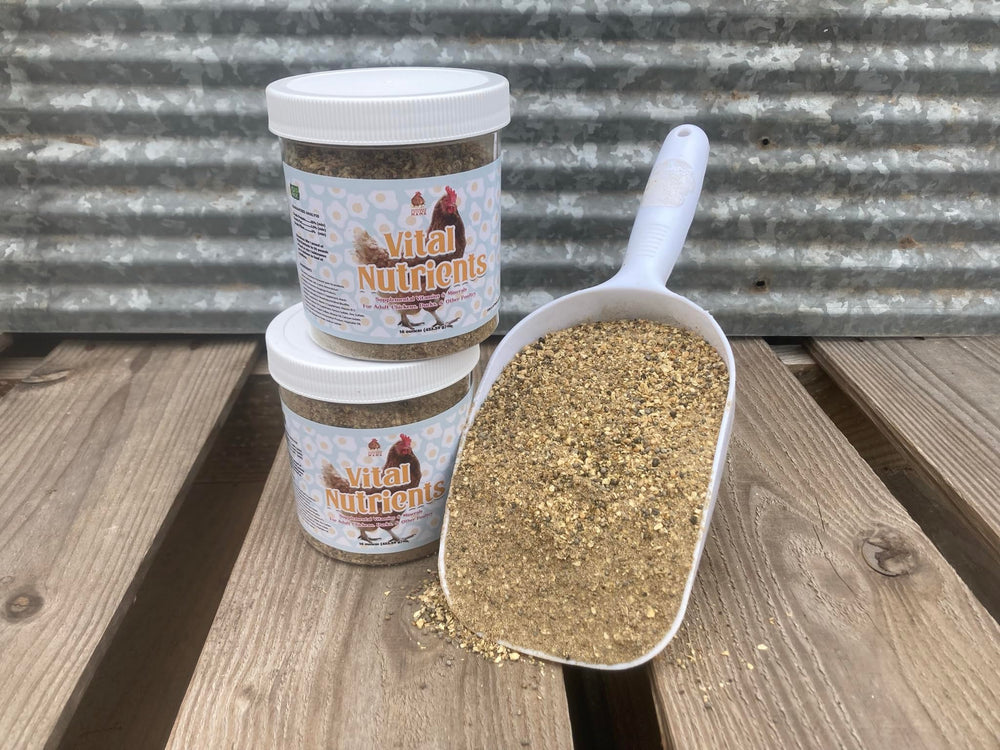 Sabor-atractivo-aves: Pampered Chicken Mama ofrece vitaminas que las aves disfrutan.