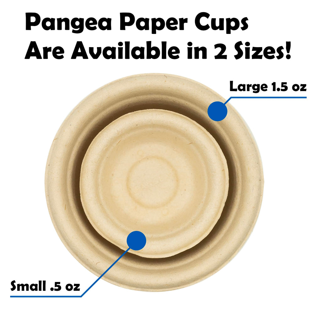 Copa gecko de acrílico con ledges de Pangea.