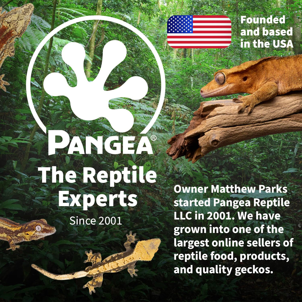Copas desechables de fibra vegetal Pangea, limpieza simplificada.