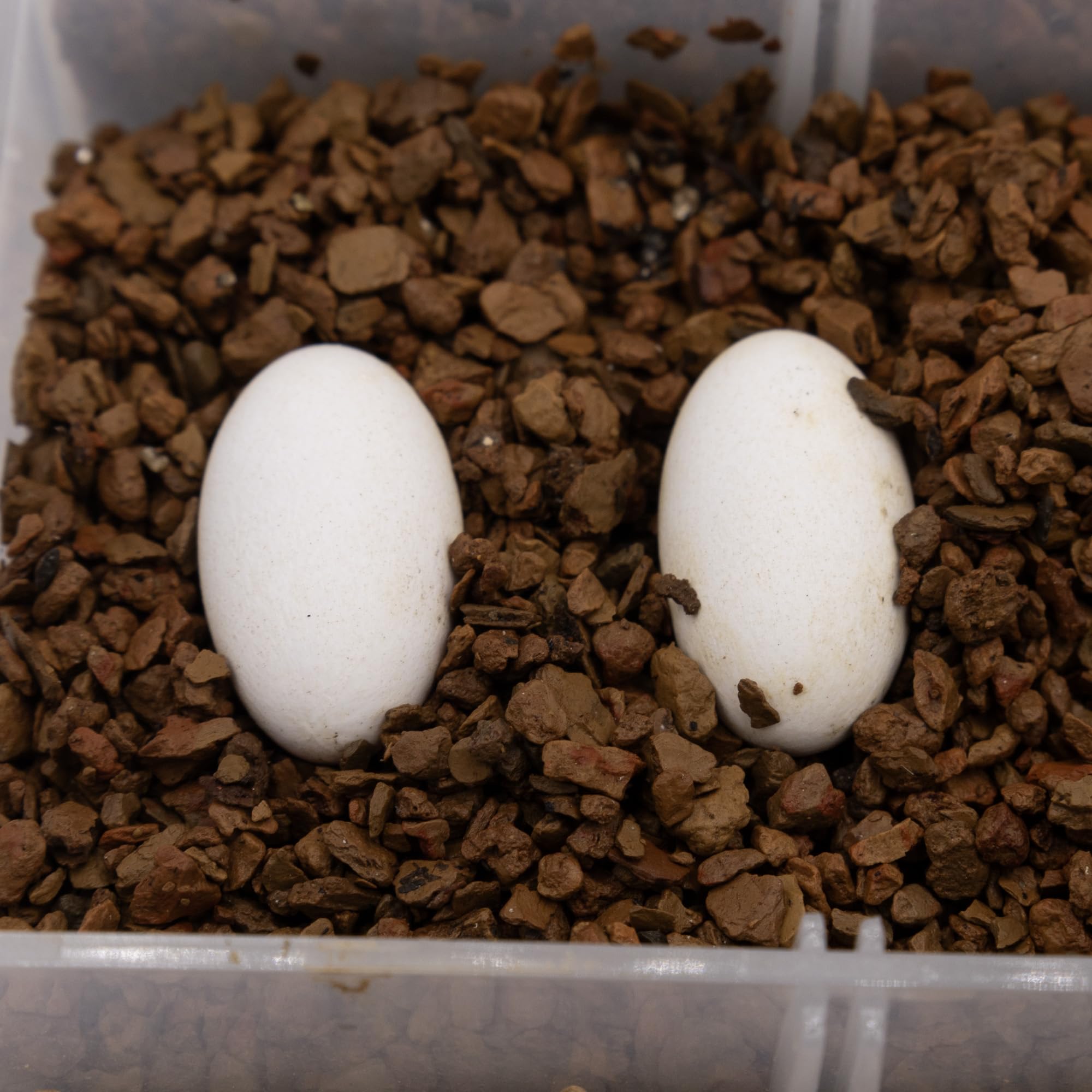 Pangea Hatch detalle de textura muestra porosidad para oxigenación adecuada.
