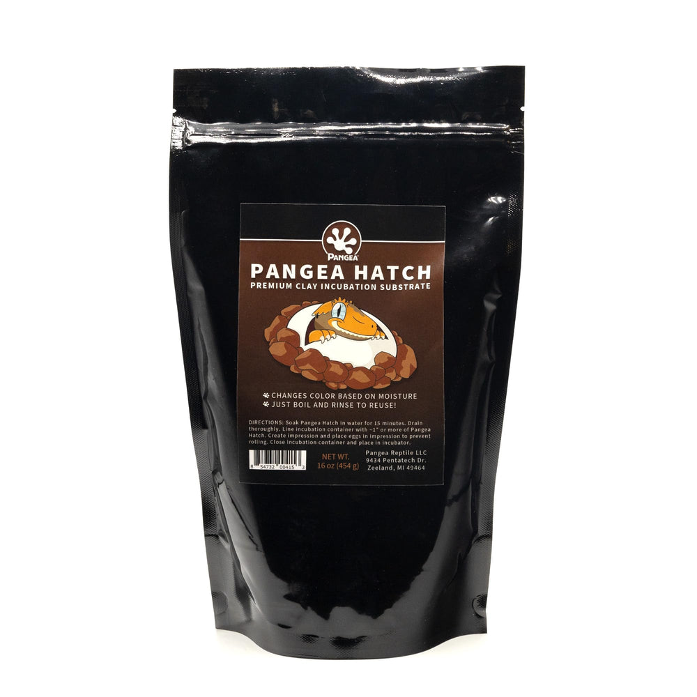 Pangea Hatch sustrato de incubación de arcilla premium para huevos de reptiles.
