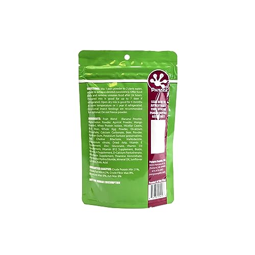 Pangea mezcla-fruta sandía dieta-gecko en porción lista para alimentar.