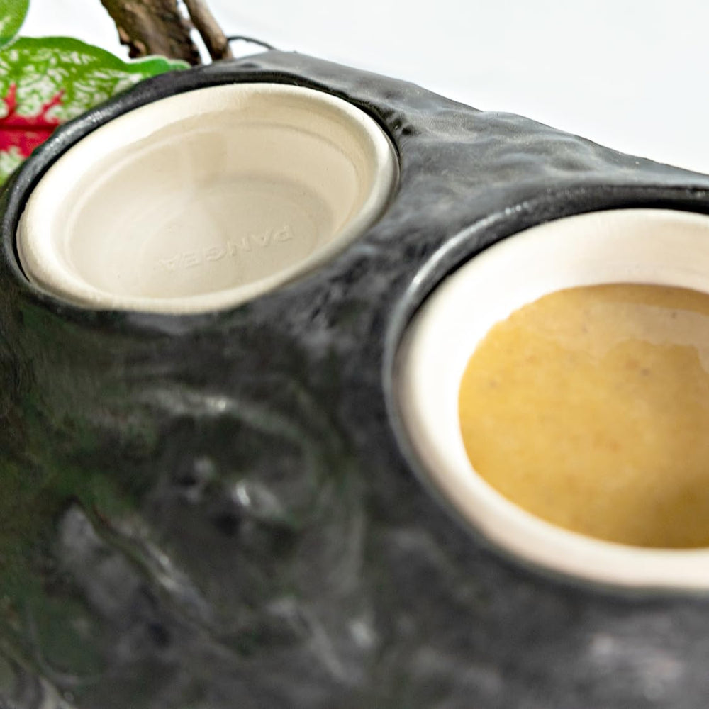 Mini tazas 1.5oz para dietas repetidas de gecko, ideal para muestreo.
