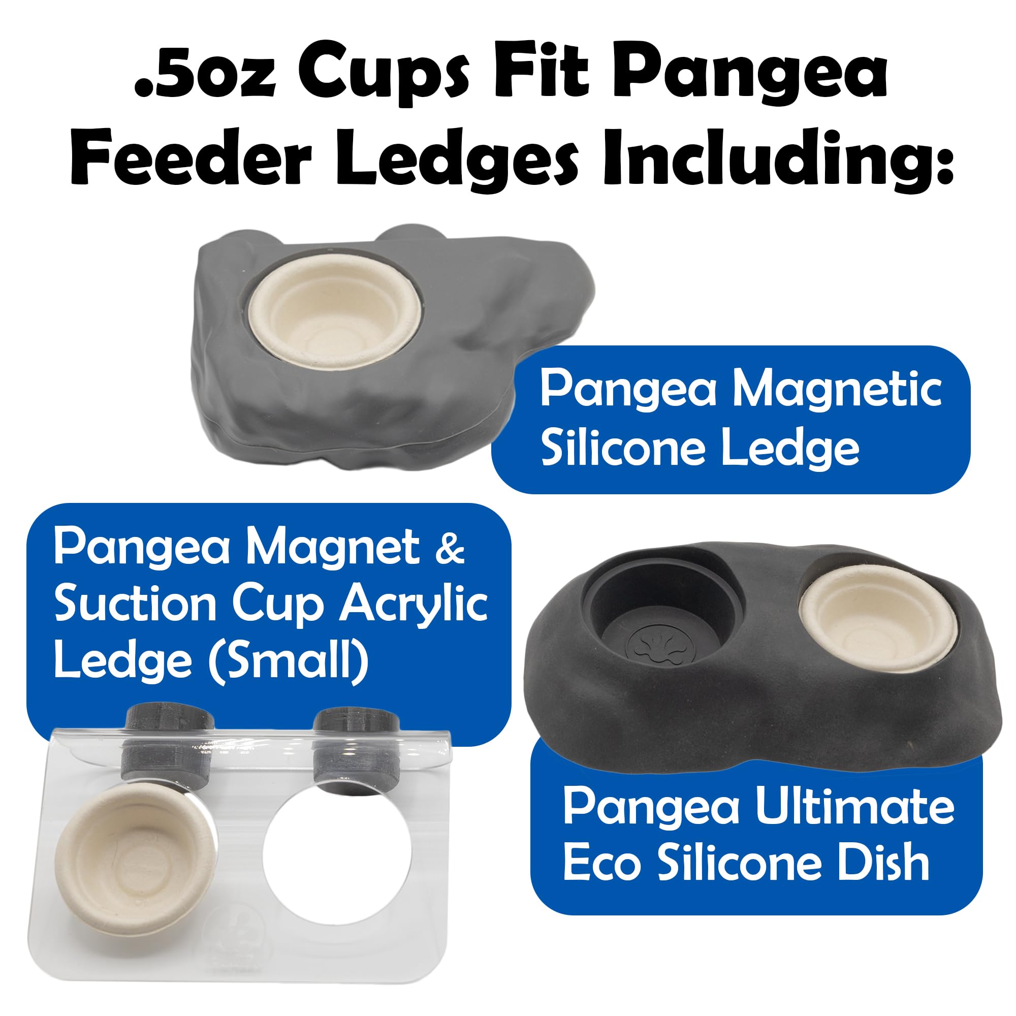 Soporte de piedra dual para copas gecko de Pangea.