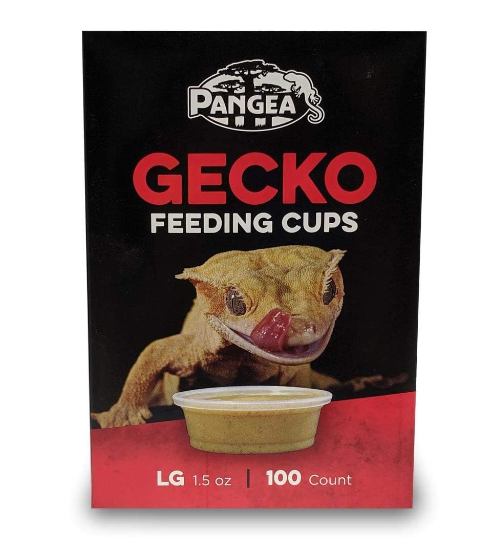 Pangea tazas de repuesto para Gecko Ledge, segundo plano, uso preciso de porciones.