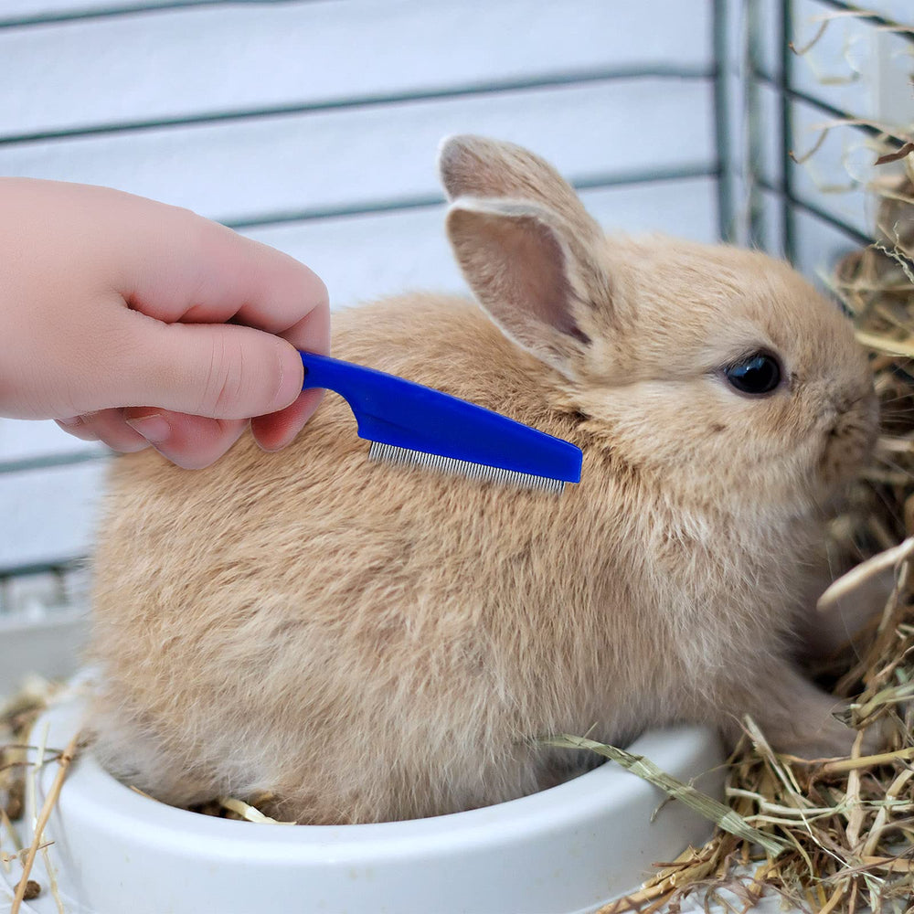 Patelai kit conejo accesorios: conjunto de grooming para mascotas